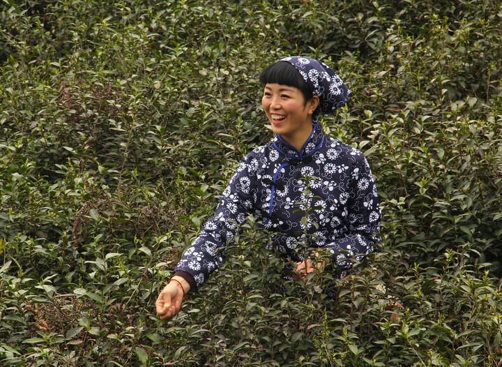 雨伞下的秘密